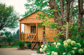 Wooden House